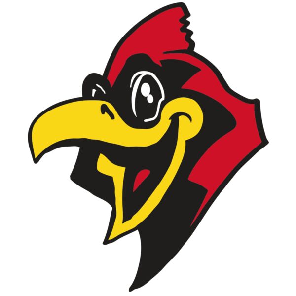 AR CARDINAL 36 RC Thumbnail