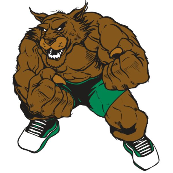 AR WILDCAT 45 RC Thumbnail